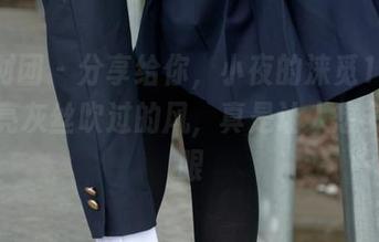 森萝财团 – 分享给你，小夜的涞觅18D：这油亮灰丝吹过的风，真是让人想多看两眼