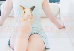 波萝社 – 内衣界的新宠：猫九酱Sakura的在线美图，让我暗自咂舌