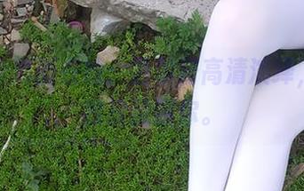 白丝jk清新在线：西尔酱高清演绎，别说我没提醒你。